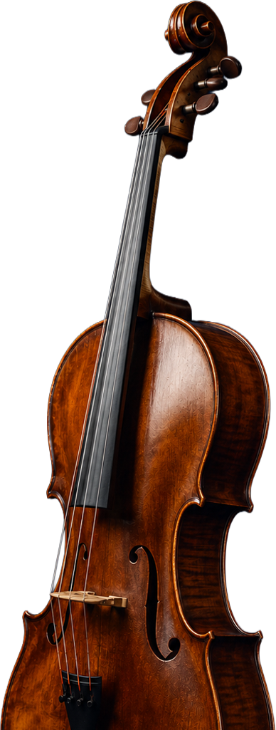 Violín Orbis School