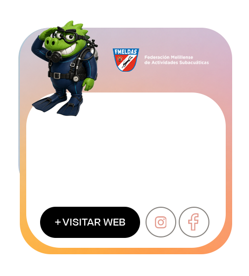 Tarjeta del proyecto web FMELDAS