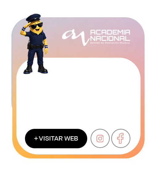 Tarjeta del proyecto web Academia Nacional Melilla